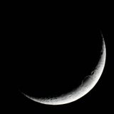 Lunar Love