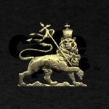 The Indomitable Lion in Session