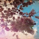 04/2014