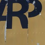 Videodisc _ ARP