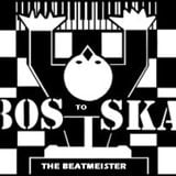 New Wave Goes Ska - The 80s Cover-Up Minimix