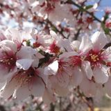 Where is the real Spring? Mix, youbroadcastradio.com, Sue La Vie : House 4 Life