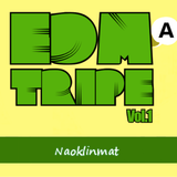 Naoklinmat @EDMA TRIPE Vol.1 1-9