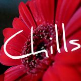 Chills 31-05-2015