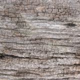 City Capture - Knock On Wood Mix