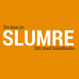 SLUMRE 21.10.14 (test)