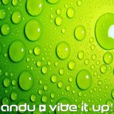 Vibe It Up! // Andu @ Vibe FM (28.06.2014)