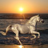 Sunset & sand - Remember 2012