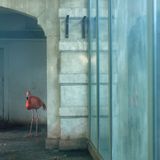 La sélection du vendredi #41
