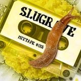 Slugrave Mixtape #006 - Side B