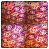 POW'EM N°2 - Powerfull Poem by Gabriel Hays "Régime Phonique Du Moment"
