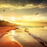 Free Your Mind Vol.009 - mixed by cammiloo