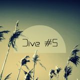 Dive #5 (March 2013)