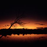 Night Lurkers - Dusk Till Down Vol 2