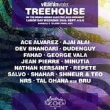 NRS @ 2015 Electric Zoo / Treehouse