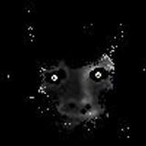 Another Space (D.V.I.M.H.V.)