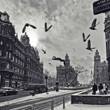 Budapest Fly (Mixed by Andre Ben & Trial Deep)