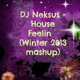 DJ Neksus - House Feelin` (Winter 2013 mashup)