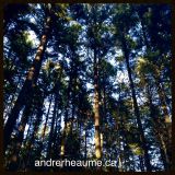 Andre Rheaume Cloudcast #24
