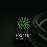 Exotic Vibrations 006 (February 2015)