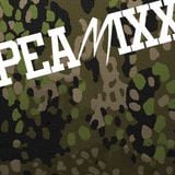 PEAMIXX 04 (HIP HOP AND UNDERGROUND RAP MUSIC DJ-MIX, APRIL 2014)