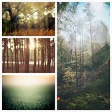 WinterCast#3: The Sun Was There