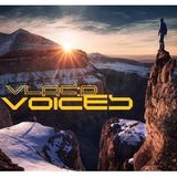 Vlad:P - Voices //04.12.2013//