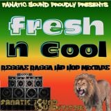 Fresh n Cool * Reggae-Ragga-HipHop Mixtape (Volume°1).