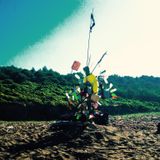 bARREL eYE fISH - sUMMER mADNES