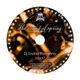 Dj Endrio Pismenniy-The Sound of Spring( mix 17)