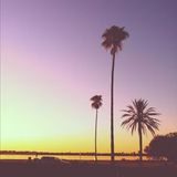 MadR - Summer Vibes (1 deck, 13 singles and 1 lp)