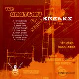 The Anatomy of Sound: Breaks