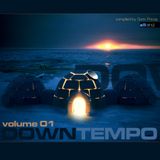 V.A. - Downtempo Volume 01