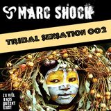 Tribal Sensation 002