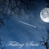 DJ AnTaNy - Falling Stars Vocal