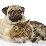 How to recognize a true friend