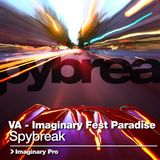 VA - Imaginary Fest Paradise