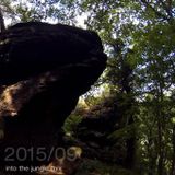 Into The Jungle Mix 09/2015