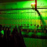 Swing Ding at Panke, 25.05.2013