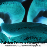 ChicOnAir presents "Advice From A Caterpillar" (Alice in Wonderland series)_12.02.14