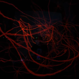TRIP SESSION - CODEK @TEST ONE