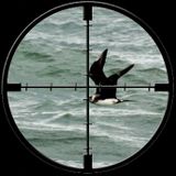 HUNT FOR OCTOBER