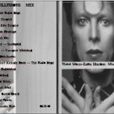 These Worm-Eaten Illusions - Mix (2008-07-23)