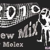 2010 miniMix by molex