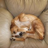 COMFORTABLE