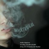 06 - 01 - 2013 - Indie Sessions on InnerSound-Radio with Scary Rabbi