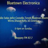Bluetown Electronica live show 17.08.14