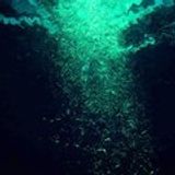 dip in the deep