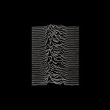 Radio Campus 88.1 - Histoire(s) Sonore(s) - Emission du 01.10.2015 - Joy Division