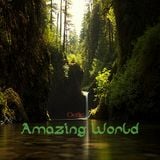 Amazing World